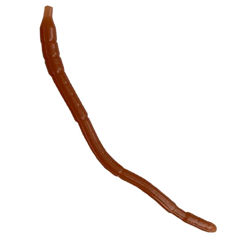 GIANNAZZO Worm - 10cm