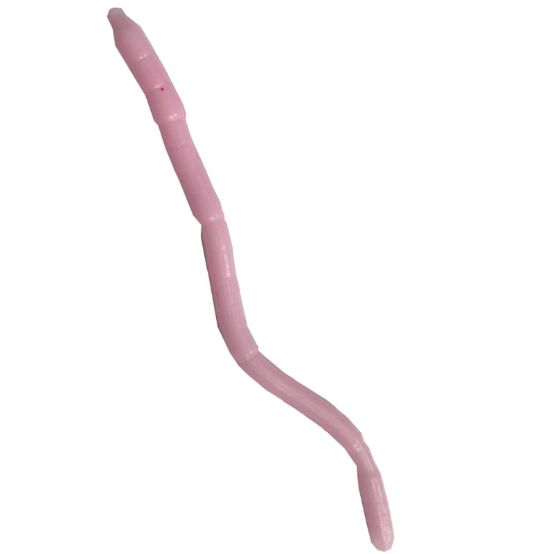 GIANNAZZO Worm - 10cm