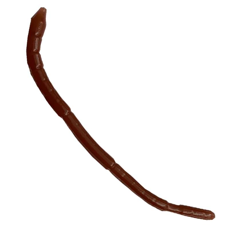 GIANNAZZO Worm - 10cm