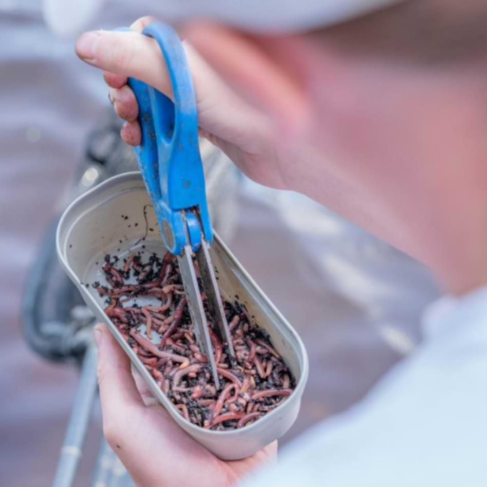 GURU Conti Bait Box 1.1 Pint Grey