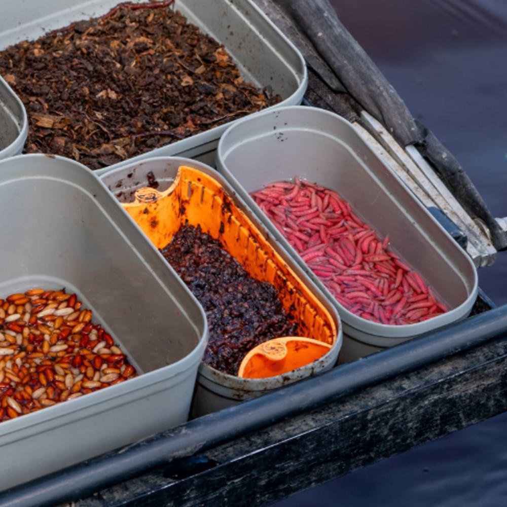 GURU Conti Bait Box 1.1 Pint Grey