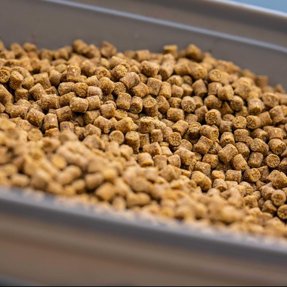 GURU Conti Bait Box 2.2 Pint Grey