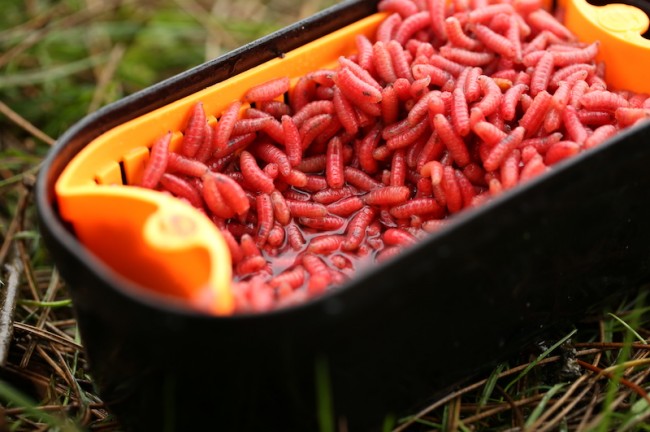 GURU Bait Strainer 1 pint