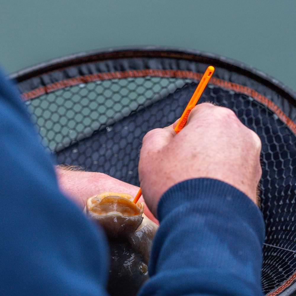 GURU Double Disgorger