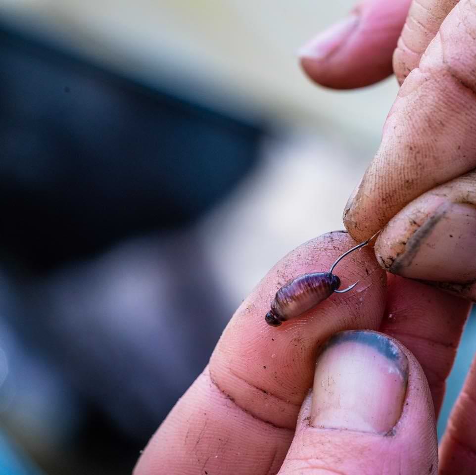 GURU Kuranku Micro Barb