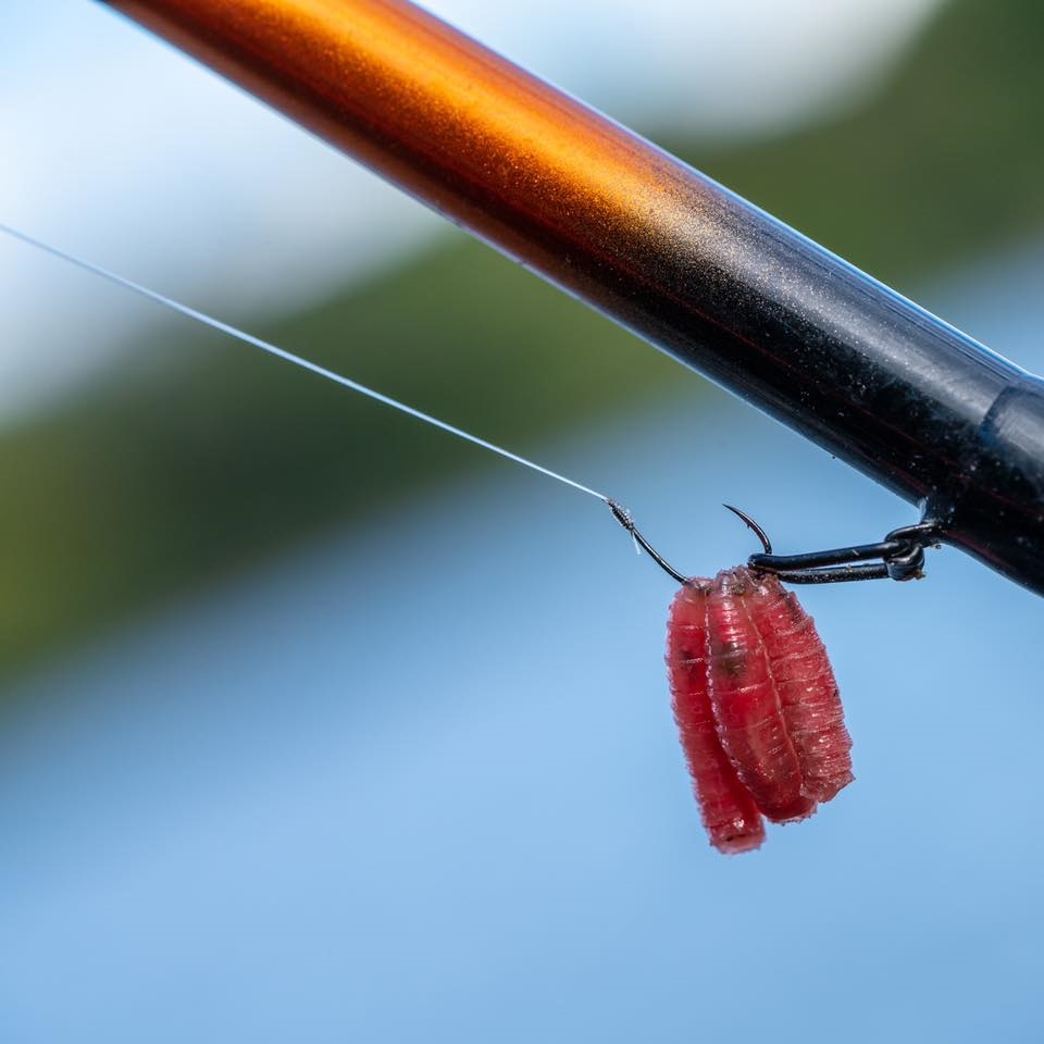 GURU Kuranku Micro Barb