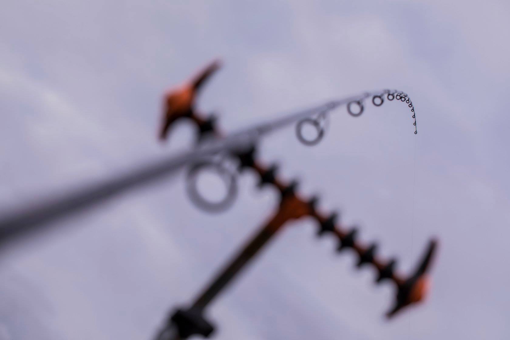 GURU TN Distance Feeder Aventus Tip 3.5mm