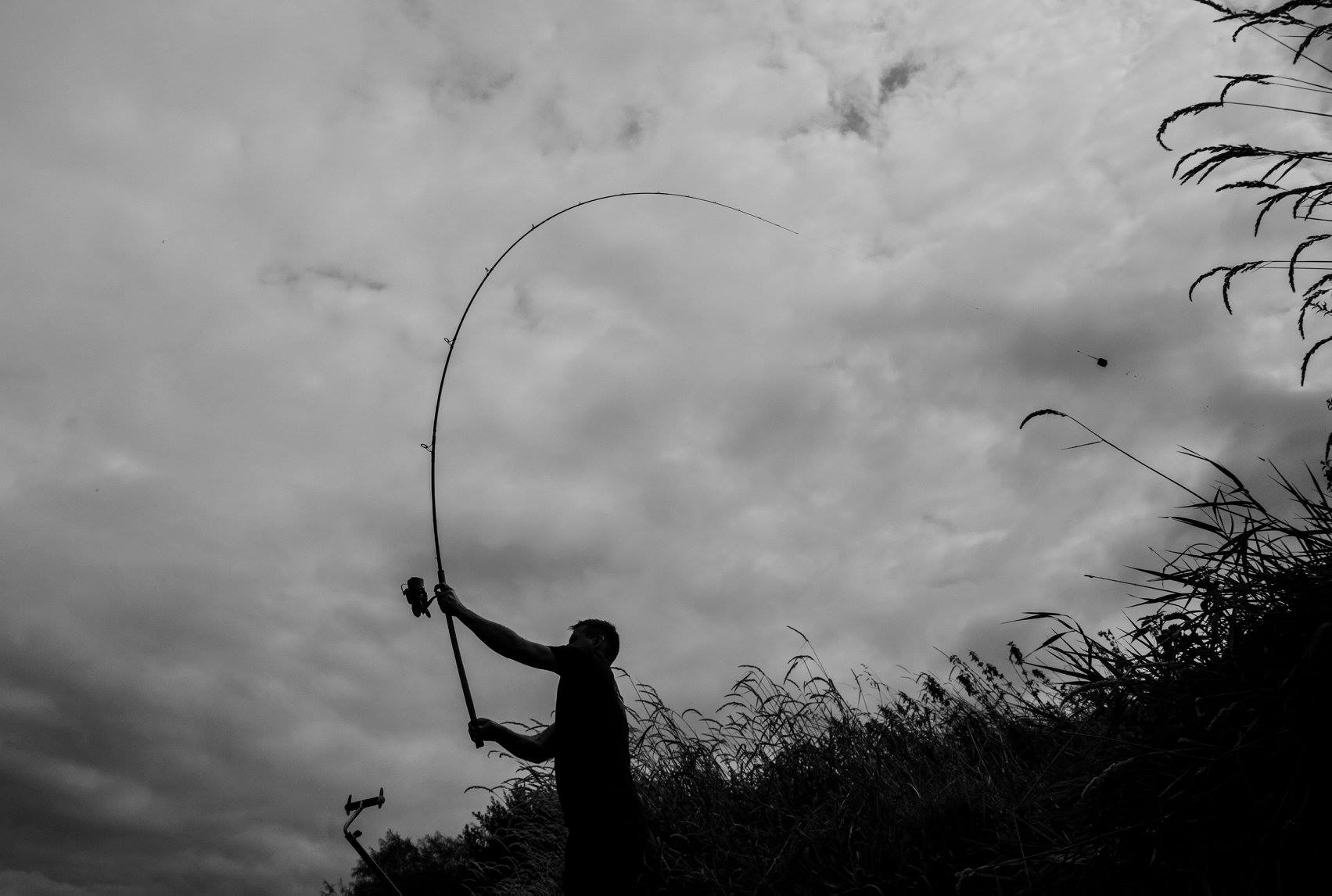 GURU TN Distance Feeder Aventus Tip 3.5mm