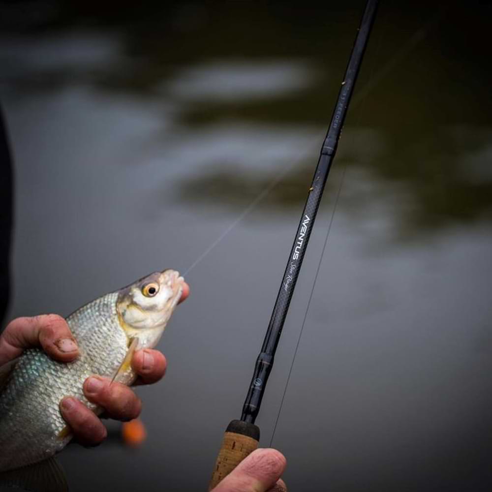 GURU Aventus By Steve Ringer Light Feeder 10ft 2pcs