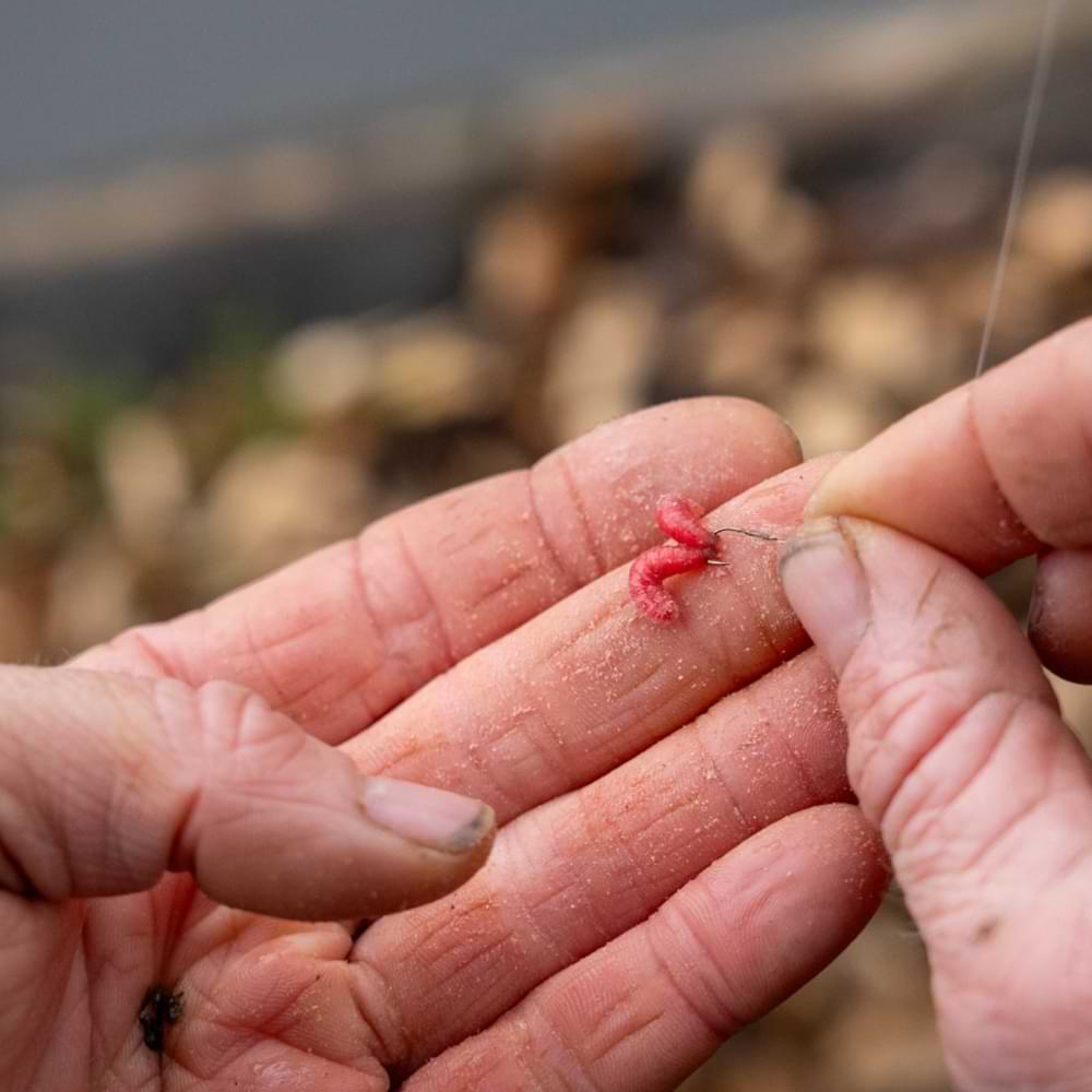 GURU Natural Waggler Rod and Reel Combo