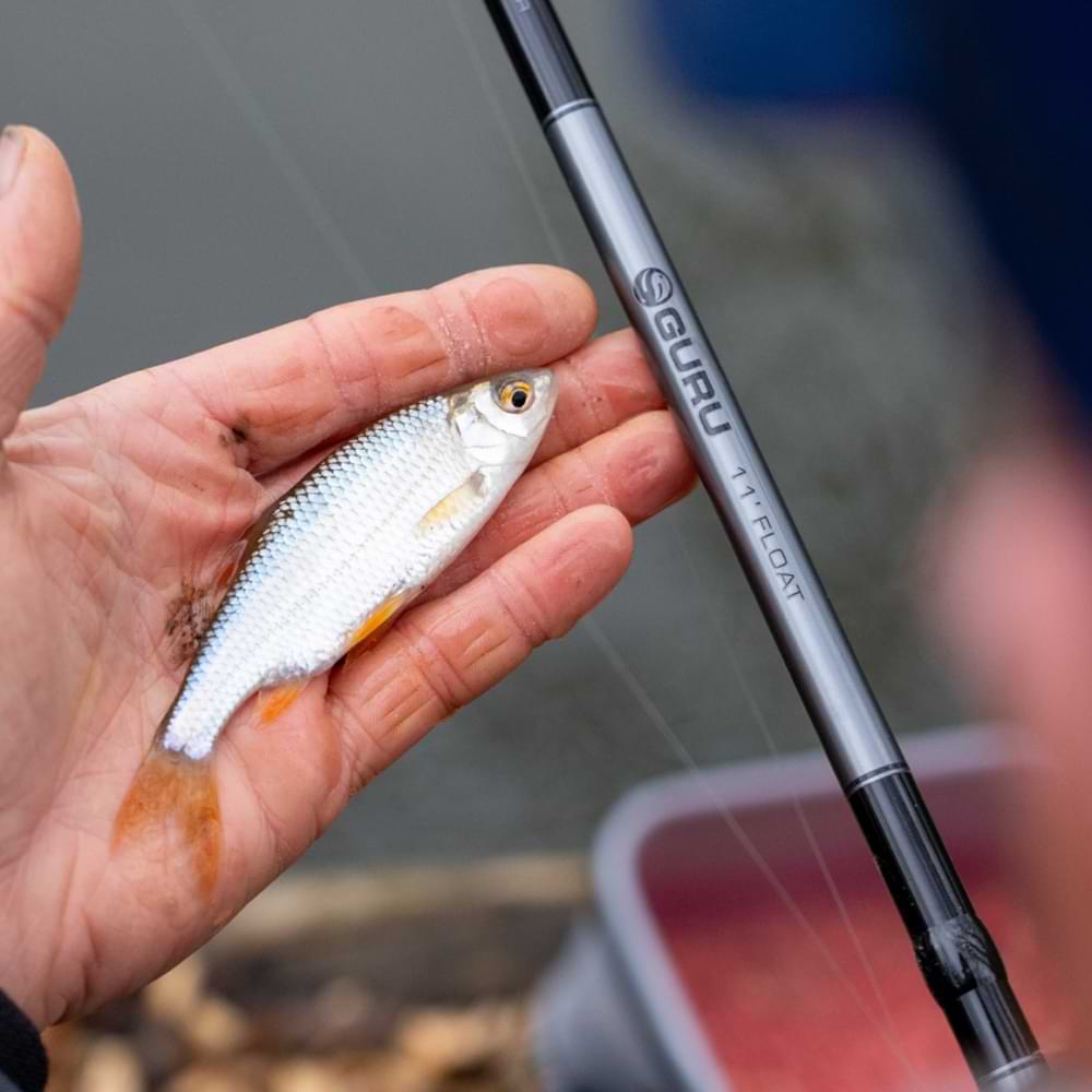 GURU Natural Waggler Rod and Reel Combo