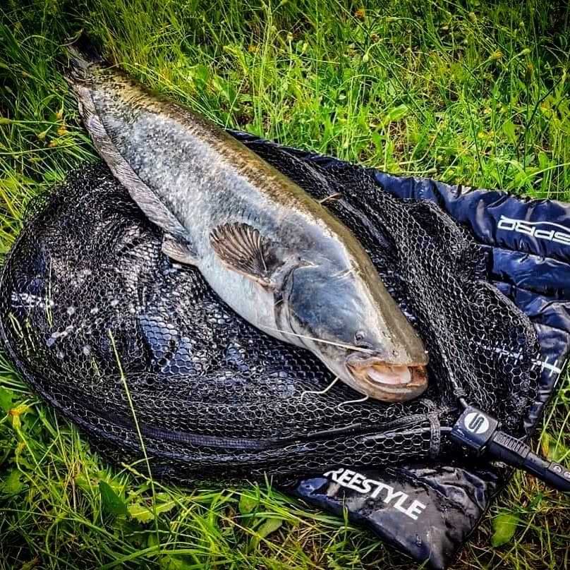 FREESTYLE Flick Net Alu 155