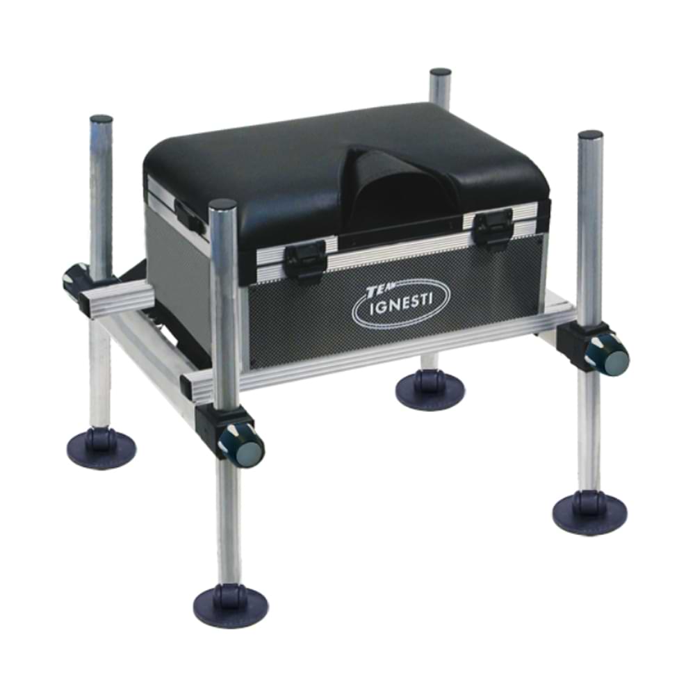 IGNESTI Formula 1 D25