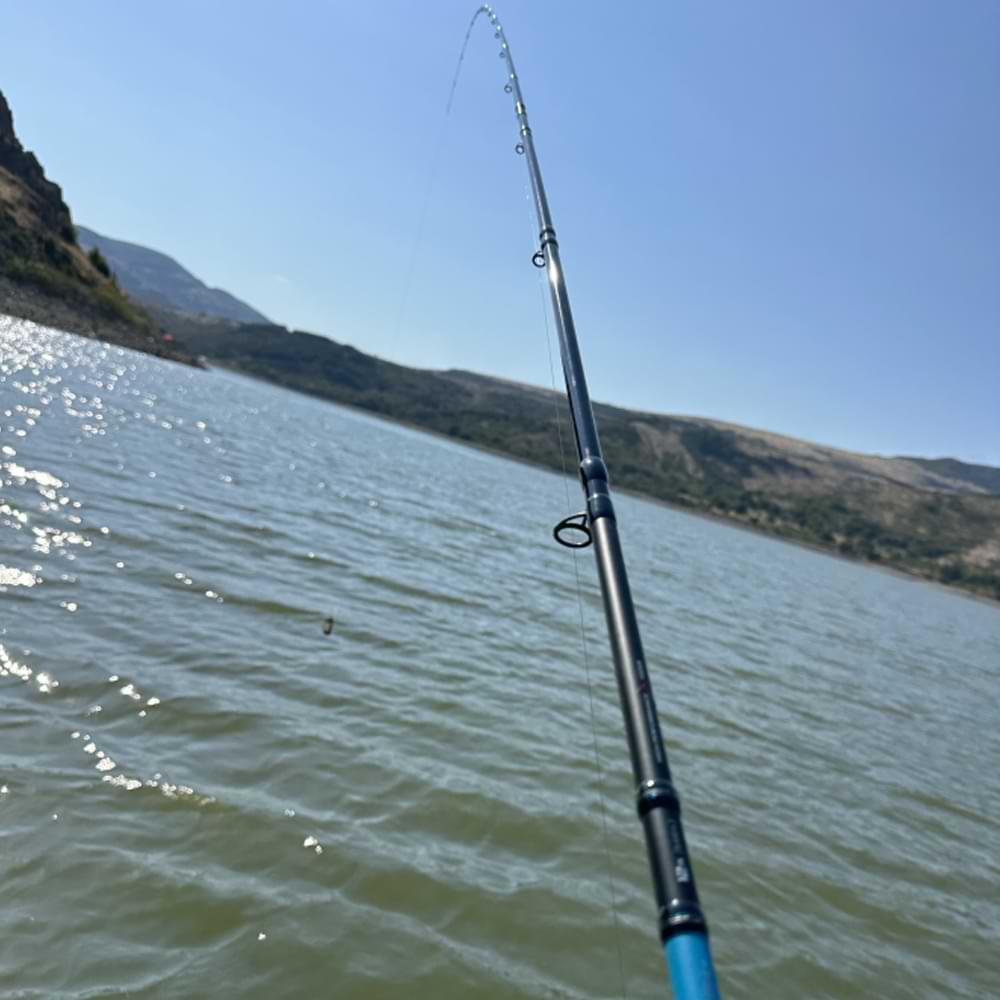 ITALICA Sintex Feed 2pcs 12ft