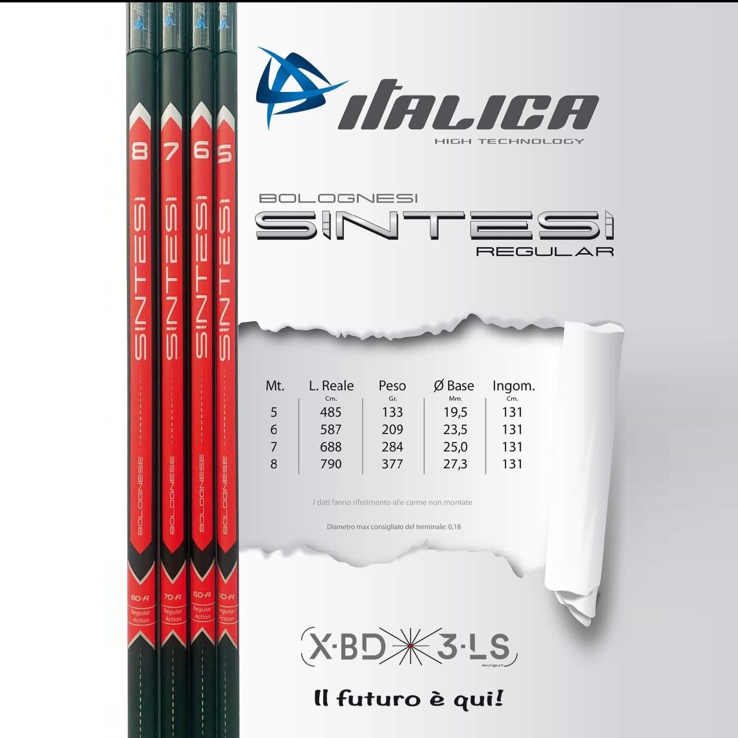 ITALICA Sintesi Regular 8m