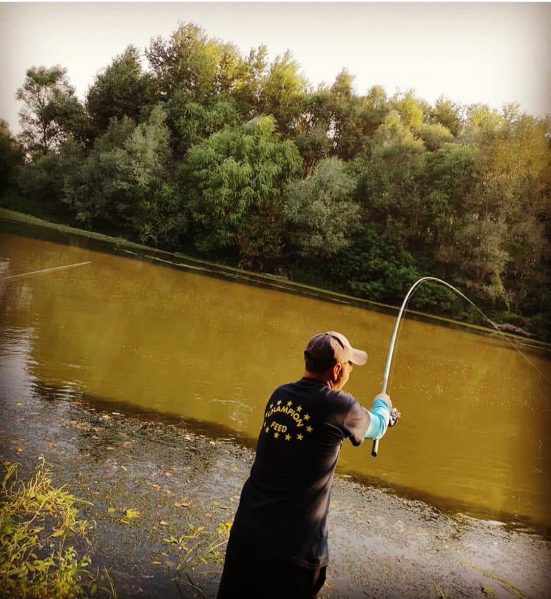 ITALICA Fortexa FBP Light 7m