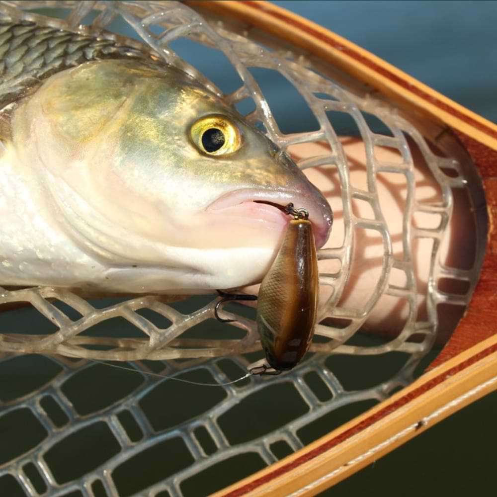 ЈАСКАLL Сherrу 44F 44mm 6.2g Flоаtіng