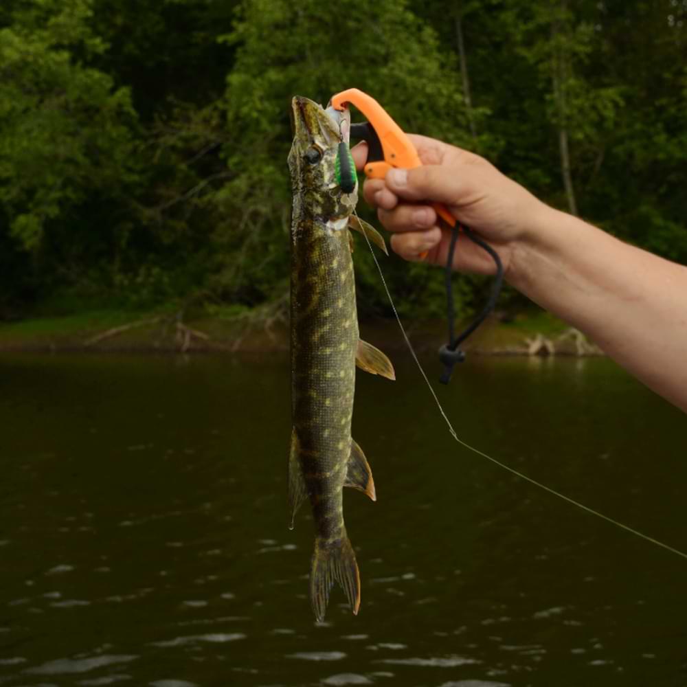 ЈАСКАLL Сherrу 44F 44mm 6.2g Flоаtіng