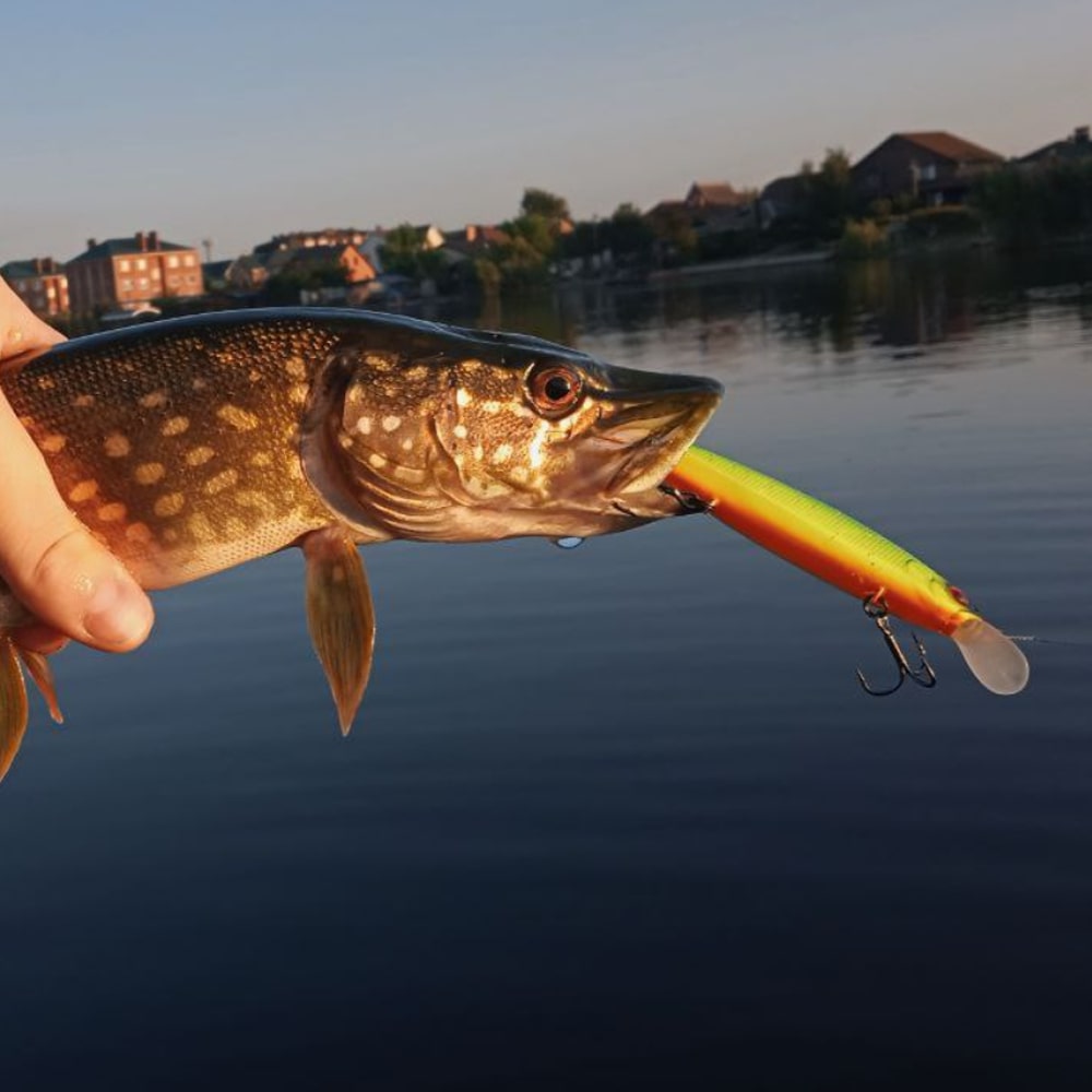 JACKALL Magsquad 115SP 115mm 16g Suspending