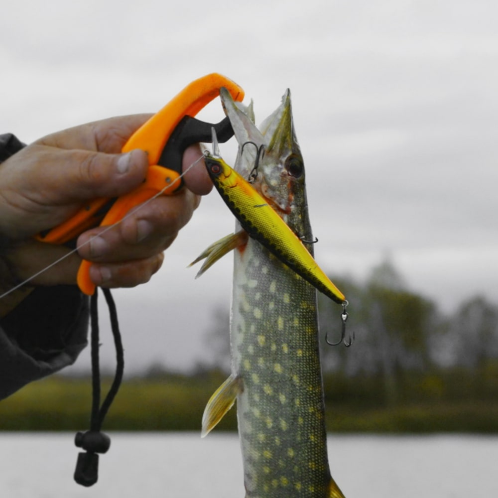 JACKALL Magsquad 115SP 115mm 16g Suspending