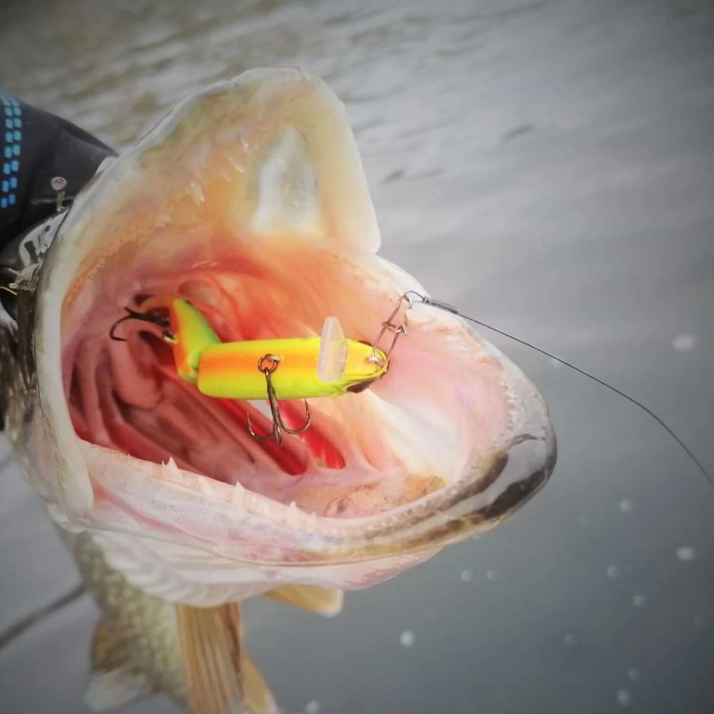 JACKALL Magallon 113SP 113mm 13.7g Suspending