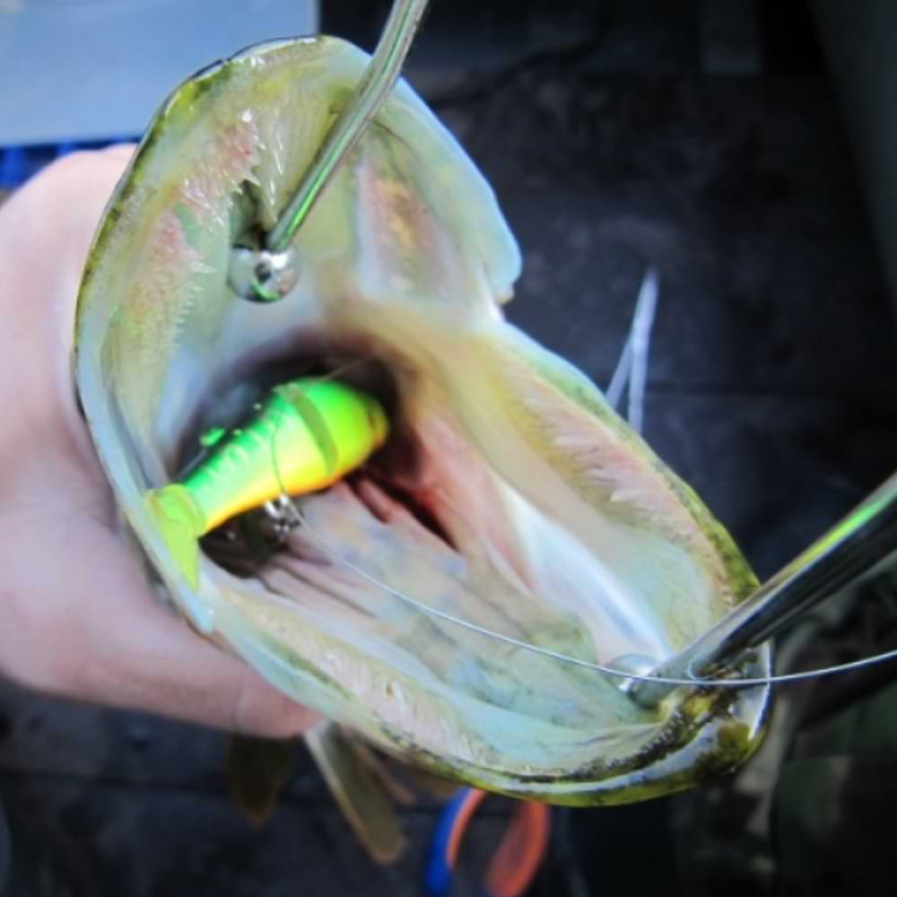 JACKALL Tiny Magallon 88SP 88mm 7.2g Suspending