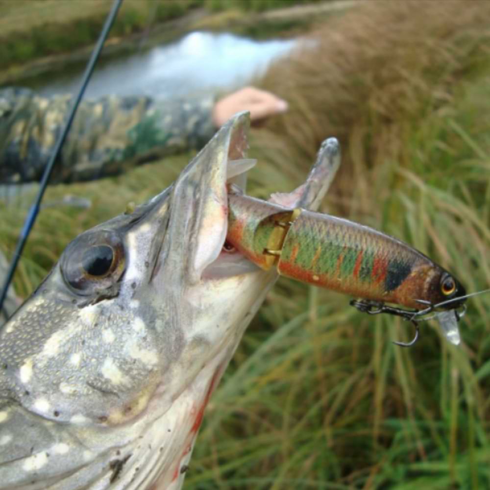 JACKALL Magallon 113SP 113mm 13.7g Suspending