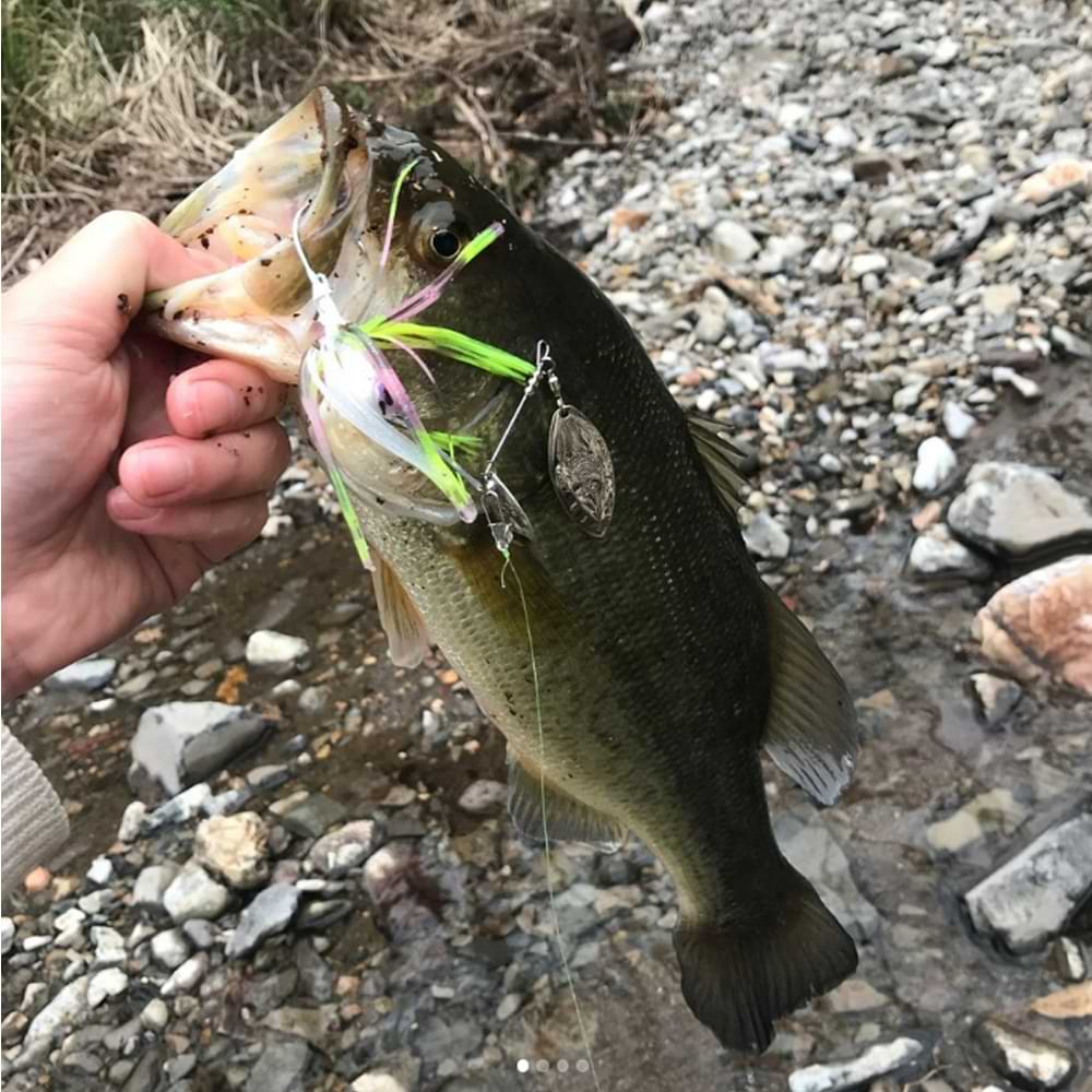 JACKALL Super Eruption Jr. 20g