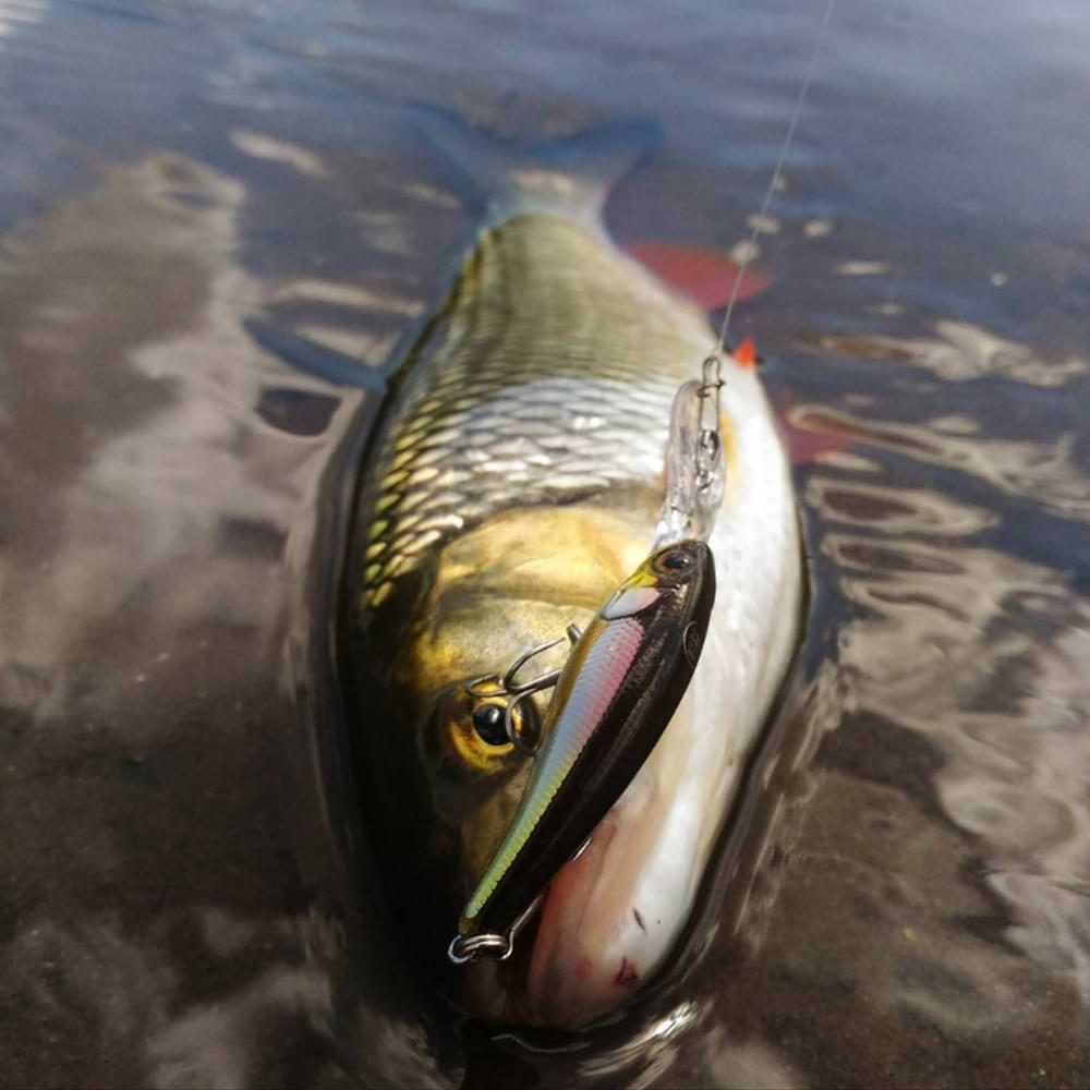 JACKALL Soul Shad 45SP 2.7g 45mm