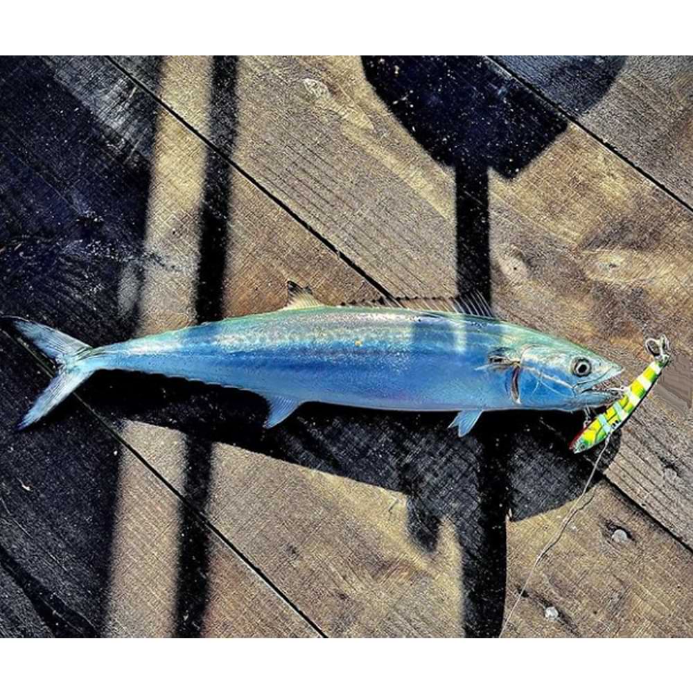 JACKALL Big Backer 107HW 107mm 35g Sinking