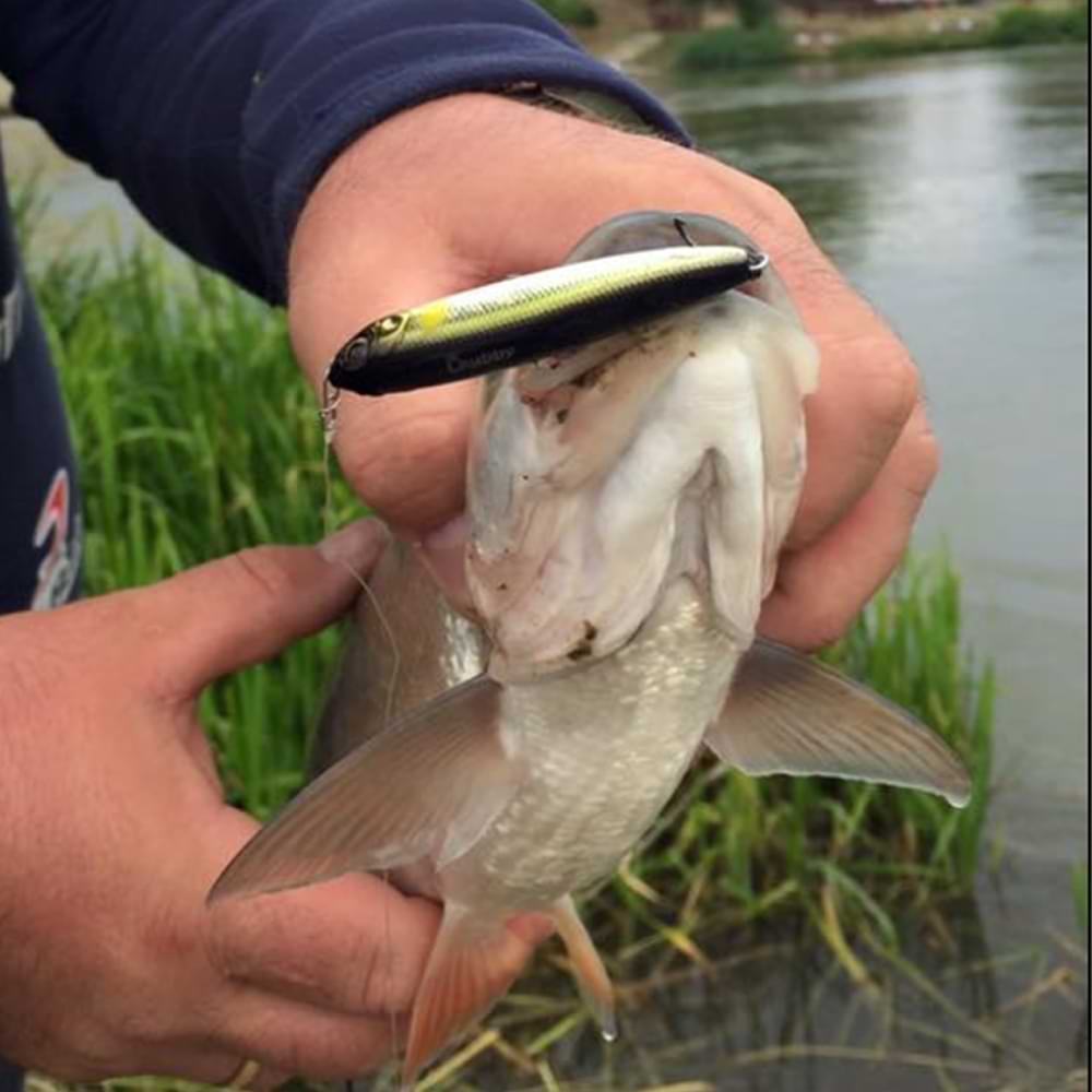 JACKALL Chubby Pencil 55F 55mm 3.1g Floating