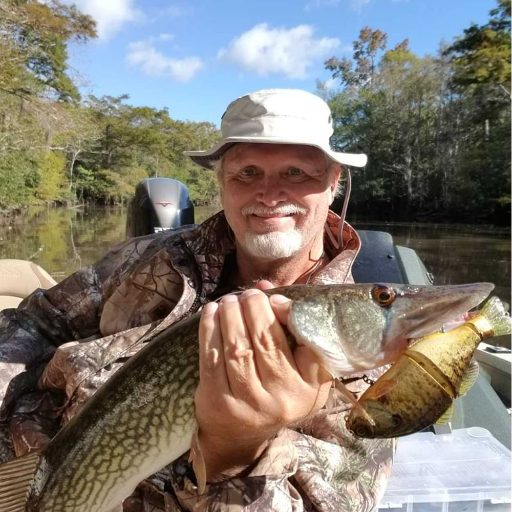 JACKALL Chibitarel 130mm 43.5g