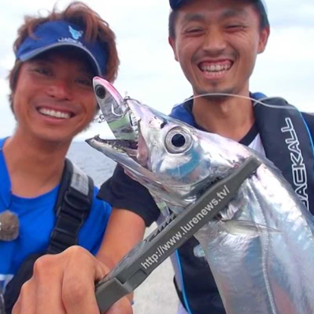 JACKALL Land Anchovy Missile 120mm 21g