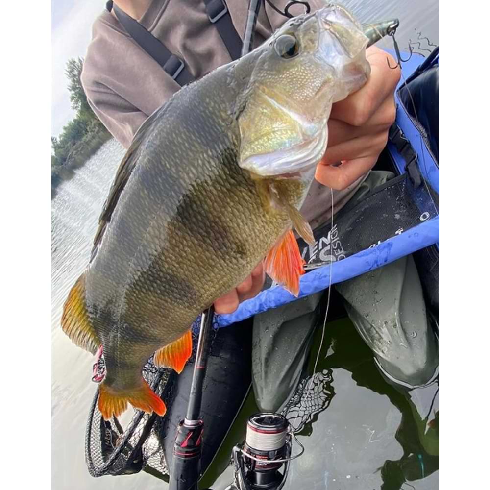 JACKALL Vibration TN/50 Full Tungsten 52mm 9.5g Sinking