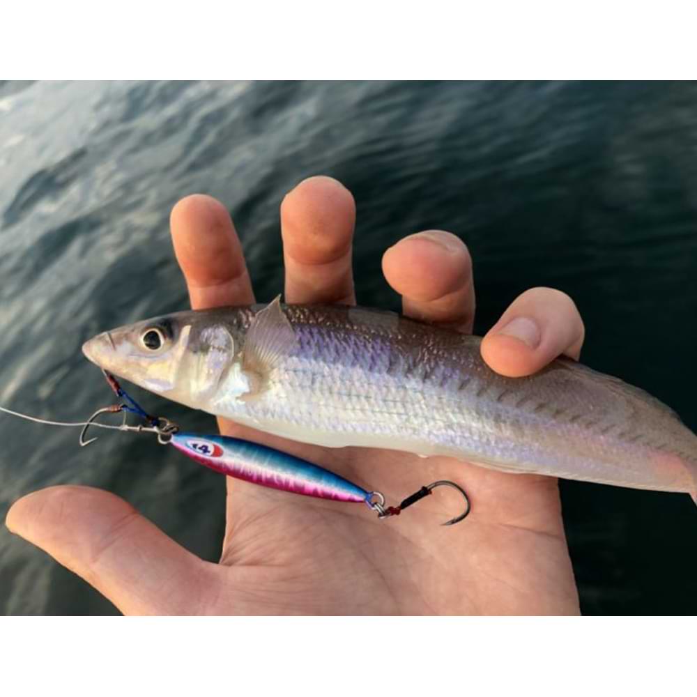 JACKALL Chibi Meta Type-II 10g