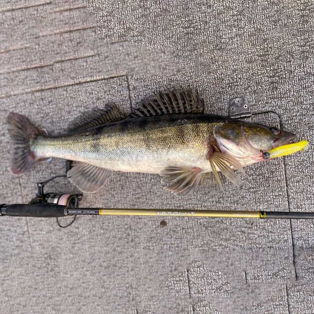 JACKALL Rhythm Wave 4.8 inch