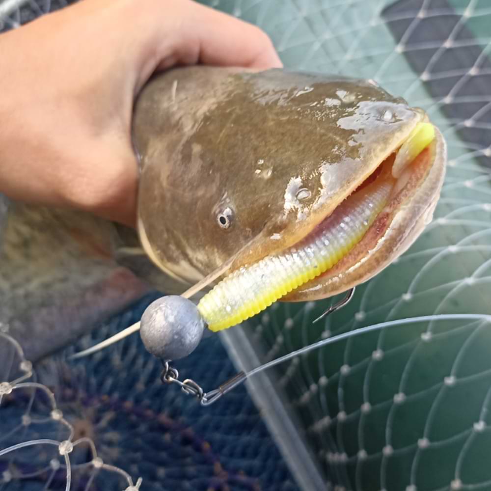 JACKALL Rhythm Wave 4.8 inch