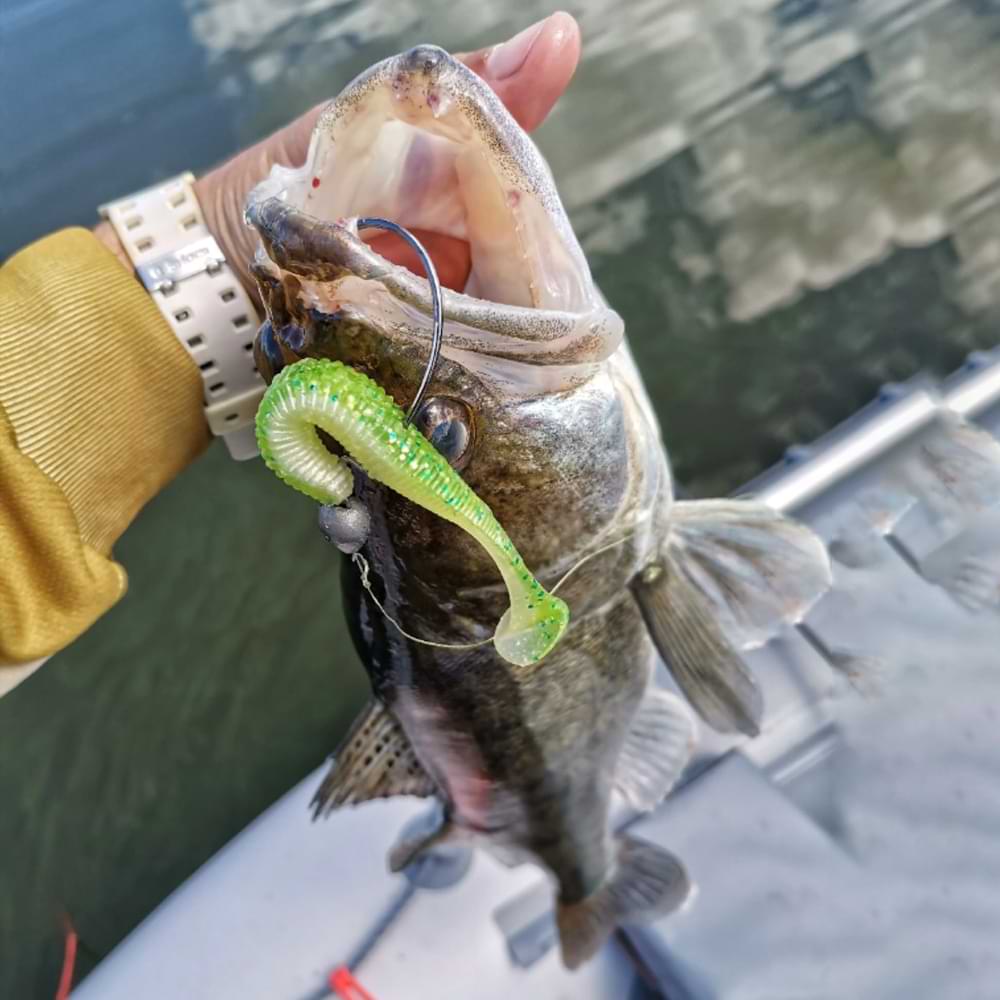 JACKALL Rhythm Wave 4.8 inch