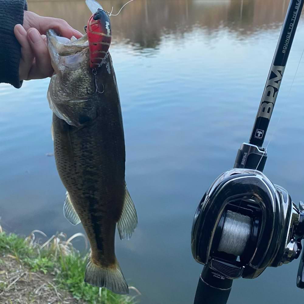 JACKALL Mushbob 50 MR 50mm 9.5g Floating