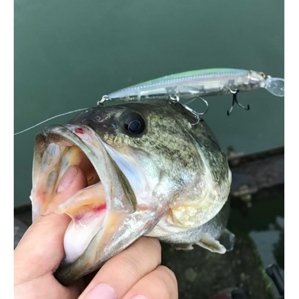 JACKALL Rerange 110 SP 110mm 14.8g Suspending