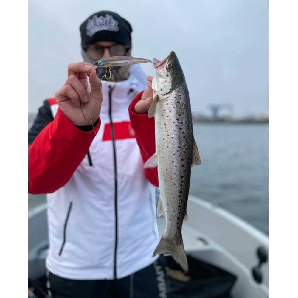 JACKALL Rerange 110 SP 110mm 14.8g Suspending