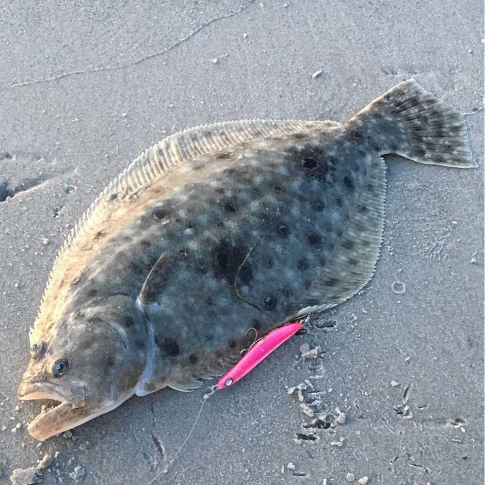 JACKALL CutBacker 28g