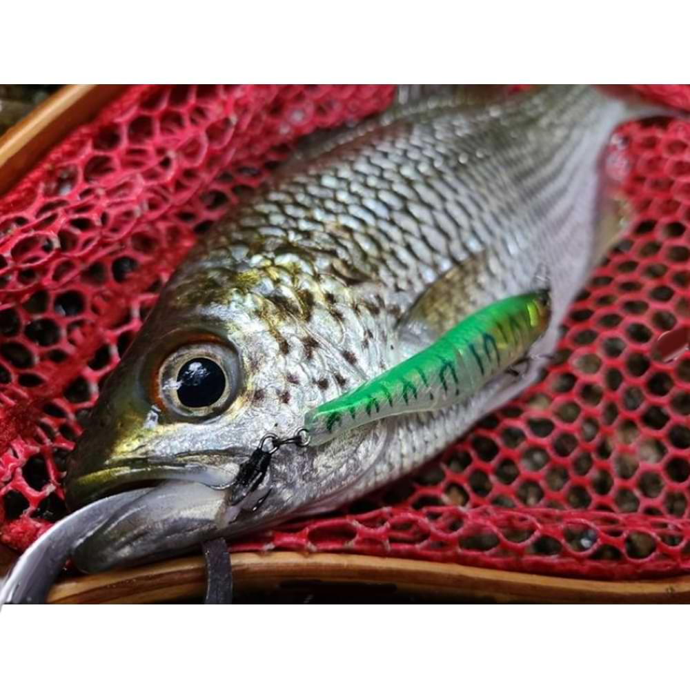 JACKALL Spy Tail 70SS 70mm 4.3g