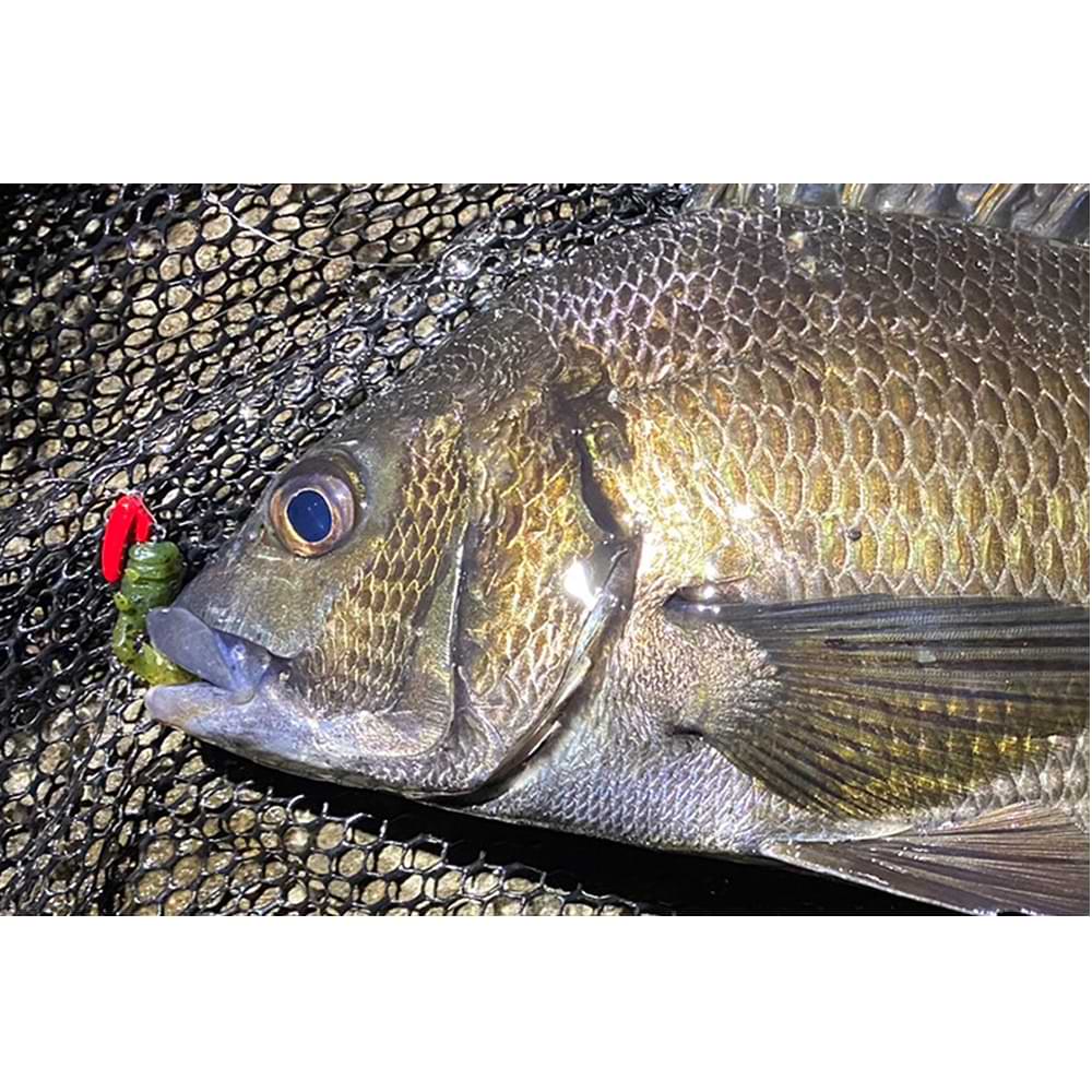 JACKALL Chibi Chinu Heads 3.5g