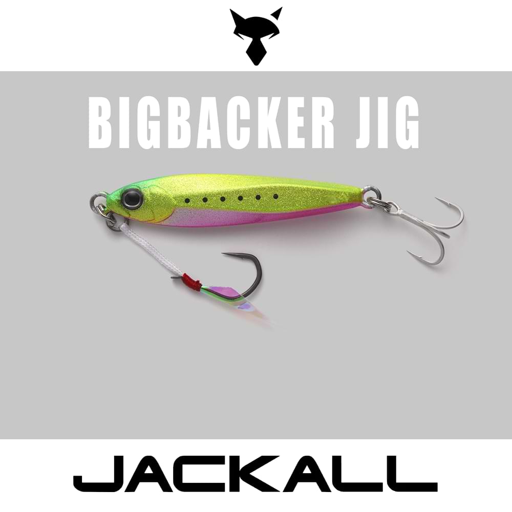 JACKALL Big Backer Jig 68mm 40g Sinking