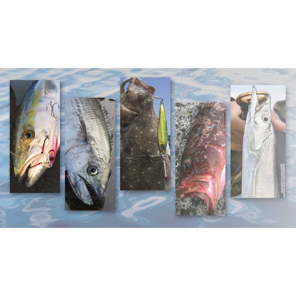 JACKALL Big Backer Jig 68mm 40g Sinking