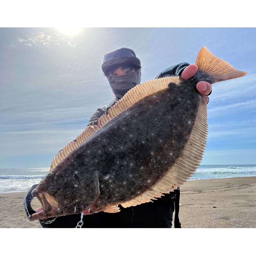 JACKALL Big Backer Jig 68mm 40g Sinking