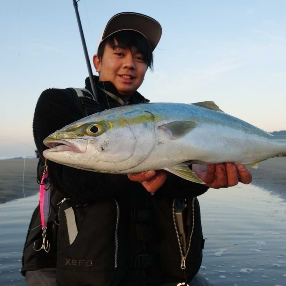 JACKALL Big Backer Jig 68mm 40g Sinking