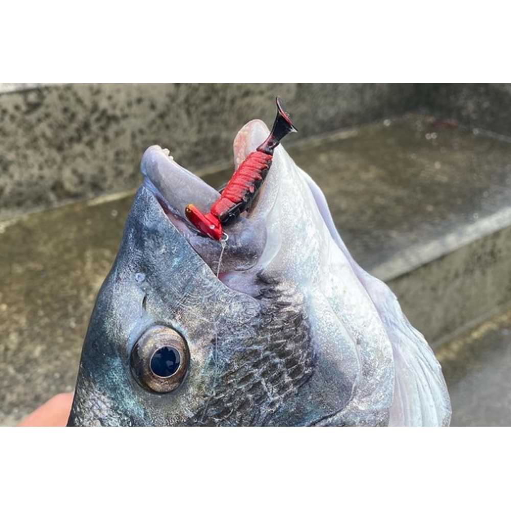 JACKALL Chibi Chinumushi 1.5 inch