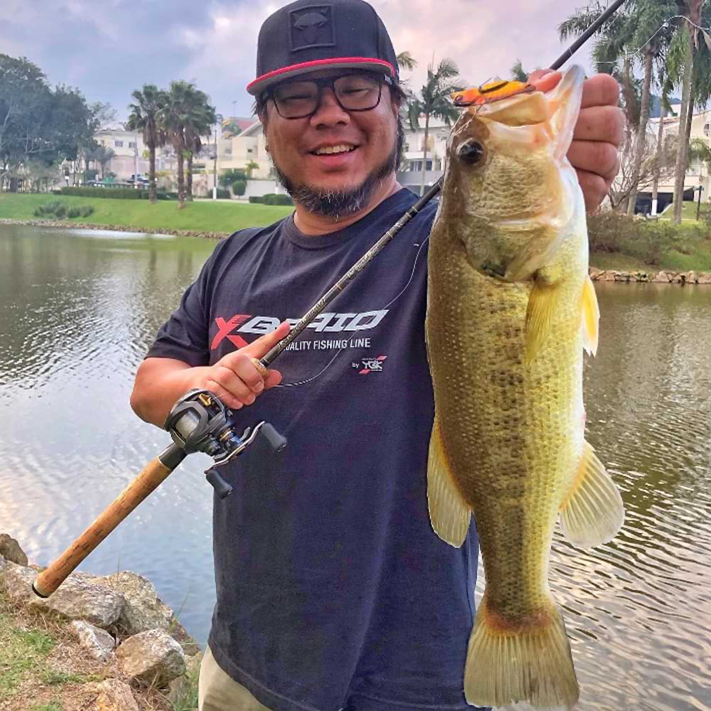 JACKALL Knockin' Jaw 46mm 7g Sinking